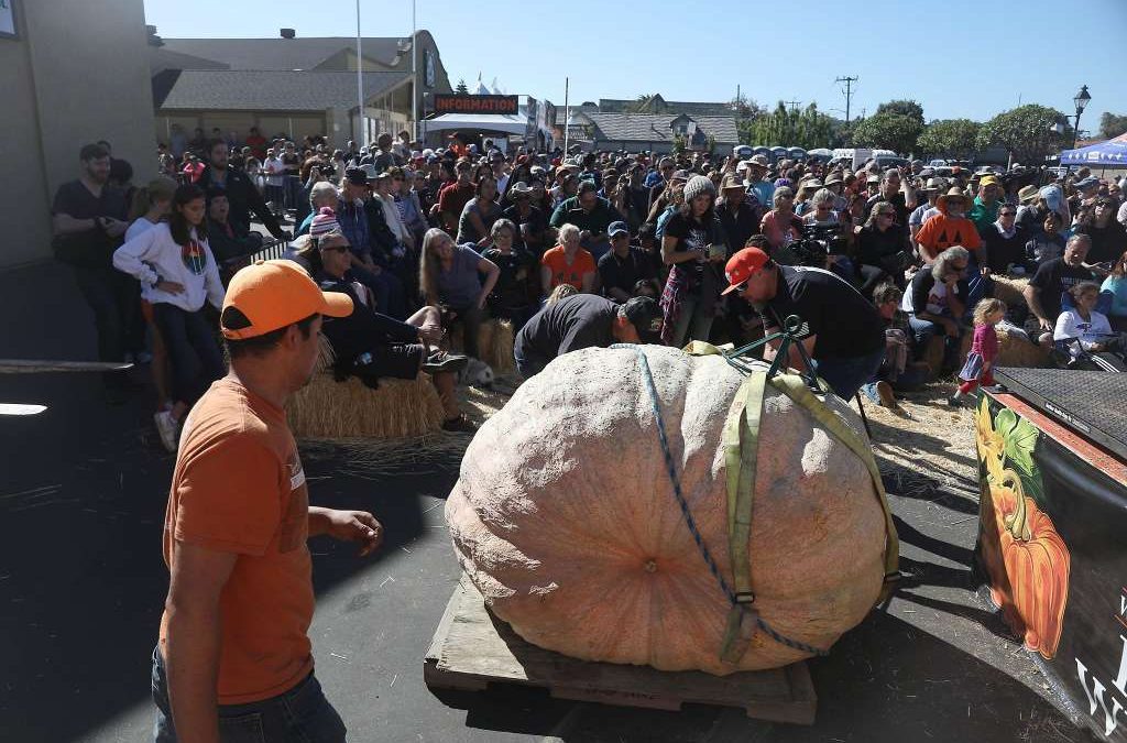 Ruben Frias Won 3rd Place in Half Moon Bay Giant Pumpkin Contest